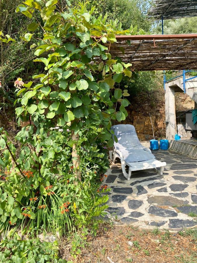 Giant Canvas Rental Tent Agro-Turismo Quinta Da Fonte Фигейро-душ-Виньюш Экстерьер фото