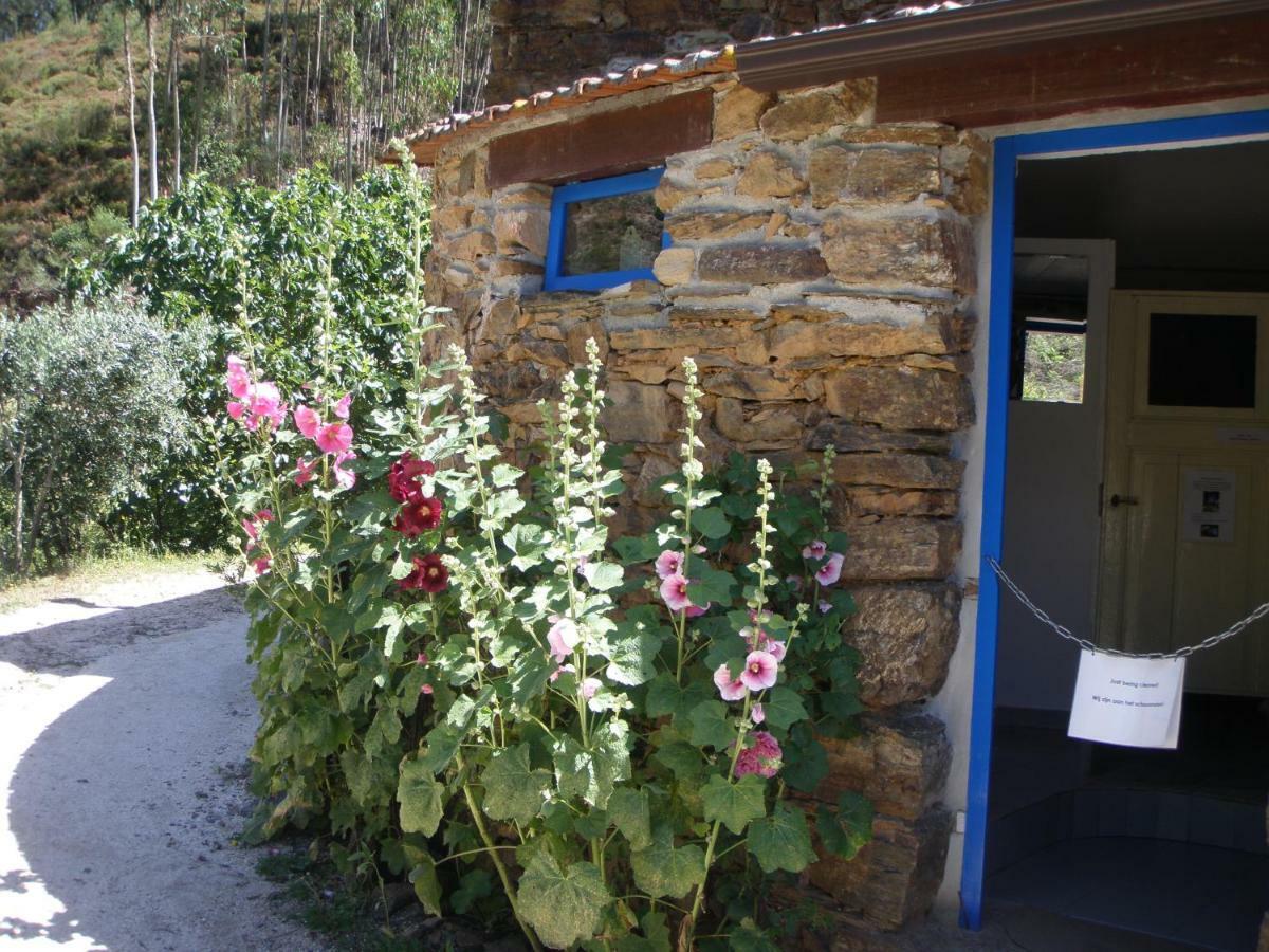 Giant Canvas Rental Tent Agro-Turismo Quinta Da Fonte Фигейро-душ-Виньюш Экстерьер фото